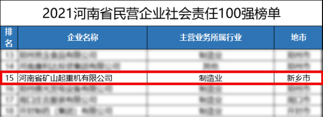 河南新盛礦山起(qǐ)重機有限公司